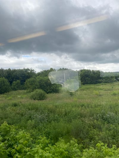 The image shows a landscape scene under a cloudy sky. In the foreground, there are lush green trees and bushes. The middle ground is filled with tall green grass and some scattered bushes. In the background, there is a dense line of trees, and beyond that, the terrain slopes upwards. A faint reflection is visible on what appears to be a window. The overall impression is of a natural, outdoor environment, possibly a field or meadow with a wooded area. This scene is located in the city of Nepeino, Russia.