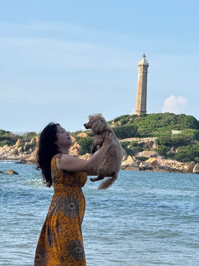 A woman in a yellow dress stands on a shore, holding a small, light brown poodle aloft. The dog faces right, looking away from the woman. The woman gazes upwards at the dog. Behind them, a body of water is visible, with waves and a rocky shoreline in the middle ground. Further back, a hill covered in green vegetation is topped by a tall, stone lighthouse with a white cap. The sky is clear and blue with a few faint clouds. The scene appears to be a coastal area in Thuận Thành, Vietnam.