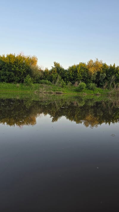 The image depicts a serene natural landscape by a body of water, likely a river or lake, on a clear day. The scene is divided into three horizontal sections: a vast, pale blue sky occupies the top third; a dense line of green trees and vegetation forms the middle third, with some trees catching the golden light of the sun; and the bottom third is dominated by the still, dark water, which reflects the trees and sky, creating a mirror-like effect. The water's surface is slightly rippled in places and has a few small white objects scattered across it, possibly foam or debris. A thin, dark line, possibly a fishing line, is visible extending diagonally across the water. The environment suggests a peaceful, natural setting, devoid of any human presence or man-made structures, typical of the outskirts of a rural area or a protected natural reserve. The location is identified as Круглоозерное, Kazakhstan, suggesting it is a natural landmark in that region.