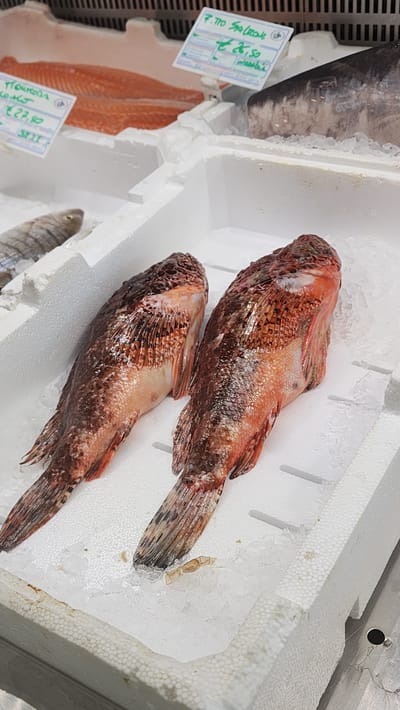 The image shows a close-up view of a fish market display in Latina, Italy. Two red scorpionfish, resting on a bed of crushed ice, are prominently featured in the foreground. The fish have textured, reddish-brown scales and visible fins. In the background, to the left, a fillet of salmon is displayed in a white styrofoam container, accompanied by a price tag indicating "€ 27.80". To the right, the head of a large, dark-colored fish, possibly tuna, is visible. Another white styrofoam container in the background holds a smaller, silver-colored fish. White paper price tags with green writing are attached to some of the displays, showing prices like "€ 26,50" and "7.70 Salmone". The overall environment suggests a fresh seafood retail setting.