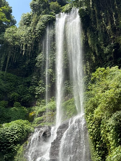 The image depicts a tall waterfall cascading down a lush, green cliff face. The water appears as a misty veil, catching the sunlight and creating a shimmering effect. Dense vegetation, primarily vines and broad-leafed plants, covers the rock face, with some trees visible at the top of the waterfall. The environment appears tropical and humid, characteristic of regions like Sawan, Indonesia, known for its natural beauty and waterfalls. There are no people visible in the image. The scene is a natural landscape, focusing on the power and beauty of the waterfall and its verdant surroundings.