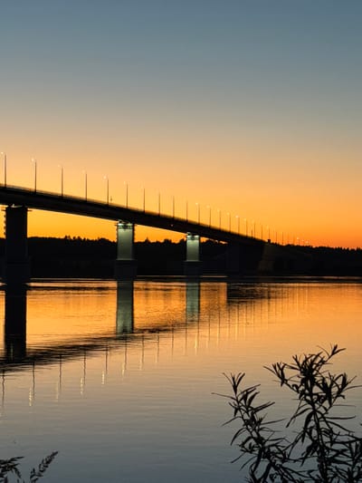 A wide shot captures a long bridge spanning across a body of water, bathed in the warm, golden hues of a sunset. The sky transitions from a soft blue at the top to a vibrant orange near the horizon, with the silhouette of a forest lining the far bank. Numerous streetlights are illuminated along the bridge's length, their reflections shimmering on the water's surface. The bridge itself is supported by two large, concrete piers, also casting reflections. In the foreground, to the right, a dark silhouette of a plant with thin branches and leaves is visible against the water. The water is calm, with gentle ripples distorting the reflections. The overall scene evokes a sense of tranquility and natural beauty at dusk. The image is located in Tarasovo, Russia.