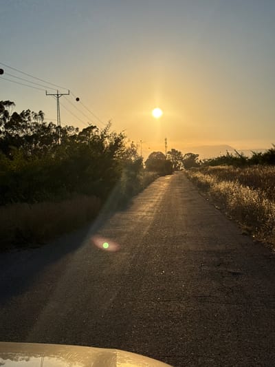 This is a landscape photograph taken at sunrise, with the sun low on the horizon and casting a golden glow over the scene. The image is oriented vertically, with the road leading away from the viewer and into the distance. On the left side of the road, there are trees and vegetation, with a utility pole and wires visible. In the distance, there are hills or mountains. The road itself appears to be paved and wet, possibly from dew or recent rain, and has a slight sheen from the sunlight. There is a lens flare visible on the road, a bright green circular spot. On the right side of the frame, the edge of a light-colored vehicle is visible, suggesting the photo was taken from inside a car. The sky is a pale blue transitioning to yellow near the sun, indicating early morning light. The overall mood is serene and tranquil, characteristic of a peaceful sunrise in a rural or semi-rural setting. There is no visible text in the image. The location context is provided as Golan Regional Council, Israel, which aligns with the rural landscape and possibly the terrain visible in the distance.