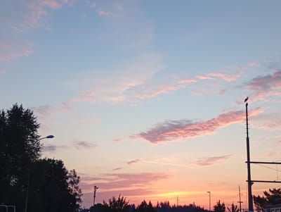 The image depicts a dusky sky with scattered clouds tinged pink and orange, suggesting either sunrise or sunset. A silhouette of a bird, likely a stork, is perched atop a tall pole. In the foreground, the dark silhouettes of trees and streetlights frame the scene. Power lines and poles are visible, indicating an urban or semi-urban environment. A faint contrail from an aircraft is visible in the sky. The location is identified as Langenthal, Switzerland.