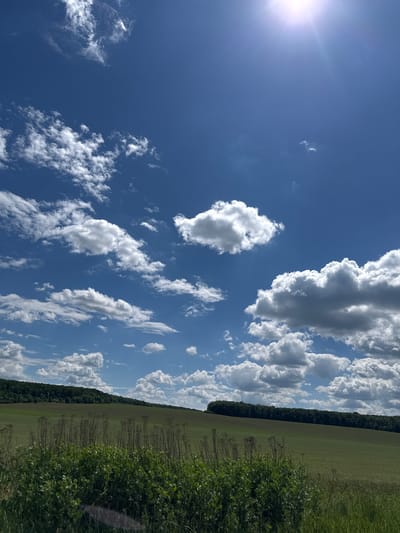 The image depicts a bright, sunny day with a vast blue sky filled with fluffy white clouds. The sun is visible in the upper right corner, casting a bright glare. Below the sky, a gently sloping green field stretches across the landscape. In the foreground, there is a dense growth of green vegetation, including tall, dry stalks of plants and lush green bushes. A dark green line of trees forms a backdrop along the horizon, suggesting a forested area behind the fields. The scene appears to be a rural or agricultural landscape, possibly located in the vicinity of Stara Vodolaha, Ukraine, given the information provided. There are no people or discernible structures visible in the image, focusing solely on the natural environment.