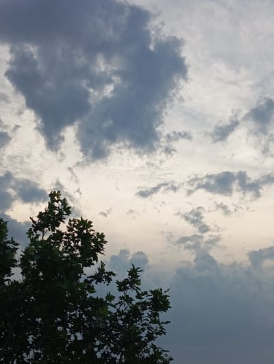 The image is an outdoor shot of a cloudy sky with a portion of a tree in the foreground. The sky exhibits a variety of cloud formations, with darker, denser clouds in the upper and lower portions, and lighter, more diffused clouds in the middle. The tree in the foreground has dark green leaves and is silhouetted against the lighter sky. The overall lighting suggests it may be late afternoon or early evening. The image does not contain any people, animals, or identifiable structures within the city of Temryuk, Russia. The scene is a natural landscape element.