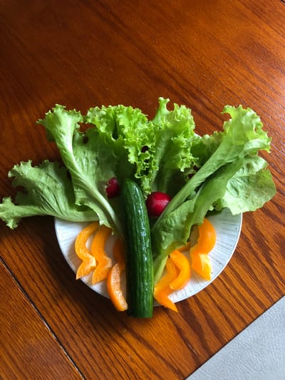 A plate of fresh vegetables, including lettuce, a cucumber, radishes, and sliced orange bell peppers, is arranged on a wooden table. The vegetables are artfully placed on a white plate with a textured pattern. The lettuce leaves are vibrant green and frilly, forming a backdrop for the other ingredients. A whole cucumber stands upright in the center, while sliced radishes are tucked between the lettuce leaves. The orange bell peppers are cut into thin strips and fanned out along the bottom of the plate. The wooden table has a rich, warm tone with a visible wood grain. The lighting suggests an indoor setting, possibly a home or restaurant. There are no people or animals present in the image, and no specific landmarks or identifying features of Barrie, Canada are visible.