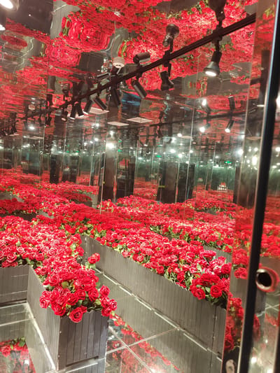 The image depicts an immersive floral installation, likely in a commercial or event space, characterized by its extensive use of mirrors and a profusion of red roses. The scene is set indoors, with a highly reflective ceiling and walls that create an infinite repetition of the floral display. Rows of dark planters, overflowing with vibrant red roses, are arranged throughout the space. The roses appear to be artificial, given their uniform perfection and the overall artificiality of the setting.
Above, track lighting illuminates the scene, and the reflections of these lights and the roses are visible on the mirrored surfaces. The ceiling itself is covered with more red roses, further enhancing the overwhelming, dreamlike atmosphere. The mirrored floors and walls amplify the visual effect, making it seem as though one is standing in a boundless garden of roses.
In the background, some signs are visible on the mirrored walls. One sign with green text appears to be an exit sign, indicated by an arrow and Chinese characters. Another sign has a cartoon tiger image and some Chinese text. The overall impression is one of opulence and a deliberate creation of an aesthetically intense experience. The lighting suggests it is likely daytime or an artificially lit indoor environment. There are no people visible in the image, emphasizing the focus on the floral installation. The location context of Gongshu District, China, provides a geographical anchor, but the scene itself is more abstract and designed for visual impact.