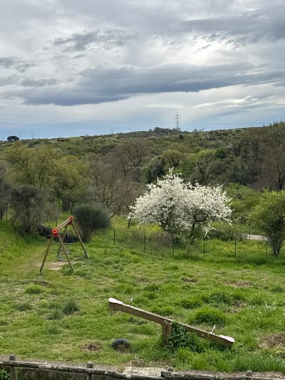 The image depicts an outdoor scene in Morlupo, Italy. The foreground features green grass, a seesaw, and a swing set. A white blooming tree stands in the middle ground, with a forested hillside beyond. The sky is cloudy. High-voltage power lines are visible in the distance.