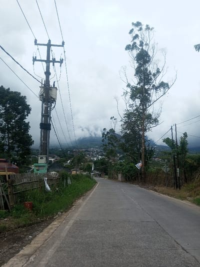 The image displays a paved road in Sarwahi Mal., India, under an overcast sky. The road, composed of concrete sections, recedes into the middle ground with a gentle curve to the right. On the left side of the road, a prominent utility pole supports a transformer and multiple overhead power lines; a light-colored rectangular control box is affixed lower on the pole. Adjacent to the road on the left, a bamboo fence encloses an area with green grass, a partial view of a brown barrel-shaped object, and a red brick on the ground. A dark green tree is partially visible on the far left. On the right side, a tall, slender tree with sparse green foliage at its crown and numerous bare branches extends upward. Further down the road on the right, dense vegetation, including banana plants, a smaller utility pole with wires, a white sign attached to a tree, and a partially visible triangular road sign are present. In the mid-distance, a clustered settlement of buildings is visible against the base of mountains. The upper portions of these mountains are obscured by thick white clouds or mist, which merge with the uniformly gray, cloudy sky. No individuals or active interactions are depicted.