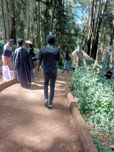 The image displays an outdoor scene on a paved pathway within a wooded environment in Waseges ward, Kenya. A reddish-brown interlocking brick path extends from the foreground into the background, flanked on the right by a concrete curb and dense green undergrowth. Beyond the foliage, a rudimentary wooden fence with visible posts is present. Numerous tall, slender trees, consistent with eucalyptus, form a dense canopy, casting strong sunlight and dappled shadows across the scene.
Seven individuals are observable. In the immediate foreground, a person wearing a dark t-shirt, dark trousers, and a dark cap is depicted from behind, holding a mobile phone to their right ear. To their left, another individual stands with their back to the camera, clad in a long, dark, flowing garment. Further left, a male figure in a light-colored, patterned long-sleeved shirt and light brown trousers is seen inspecting contents in a white bucket-like container, next to which a pink and white striped bag rests on the ground. Behind the individual in the dark flowing garment, a person with a yellow head covering is partially visible. Further down the path on the right, a person in light-colored attire leans against a wooden fence post. In the background, two additional individuals are present: one wearing a dark top and light trousers, and another partially obscured figure near the ground to the far right. Scattered dry leaves are visible on the path. Two small white rectangular signs are affixed to trees in the background.