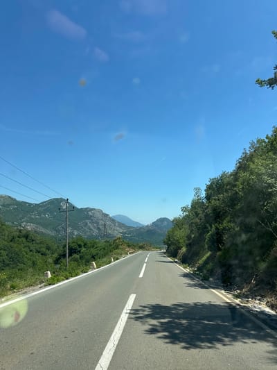 The image depicts a winding road in Novoselje, Montenegro, flanked by lush greenery and rocky mountainous terrain. The road is asphalt, marked with a white center line and an edge line. Utility poles with power lines run alongside the road on the left side. The sky is clear and blue. Shadows from trees are cast onto the right side of the road. The vegetation consists of trees and bushes growing along the roadside and on the slopes of the mountains.
