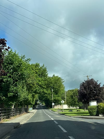This is a medium-distance, eye-level, outdoor, daytime, vertical shot of a country road in Rathvilly, Ireland. The road is paved and has a white dashed line down the center. It is flanked by lush green trees on both sides, creating a tunnel-like effect. A dark wooden fence runs along the left side of the road, bordering a grassy area and a sidewalk. In the distance, a white vehicle, possibly a van, is visible driving on the road. Overhead, power lines stretch across the sky, which is partly cloudy with patches of blue sky. There are also a few white diamond-shaped road signs visible. The scene is serene and picturesque, typical of a rural Irish landscape.