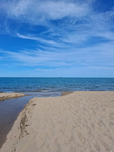 The image depicts a serene beach scene at Shkorpilovtsi, Bulgaria, under a bright blue sky filled with wispy white clouds. The foreground is dominated by a sandy beach with gentle undulations and scattered shells. A small stream or inlet of water cuts into the sand from the left side of the frame, its banks showing signs of erosion. The water in the stream appears calm and shallow. Beyond the beach lies the vast expanse of the sea, its surface a deep blue with small waves lapping at the shore. In the far distance, a single ship is visible on the horizon, a solitary speck against the meeting point of sea and sky. The overall impression is one of natural tranquility and expansive beauty.