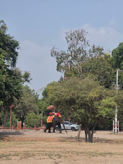 The image depicts an elephant with people riding on its back in the Historic City of Ayutthaya, Thailand. The elephant is adorned with a decorative saddle and riders. The scene includes trees, foliage, a car, and a dry, sandy area adjacent to a road or path. A red railing lines the road. The sky is light blue with some clouds.