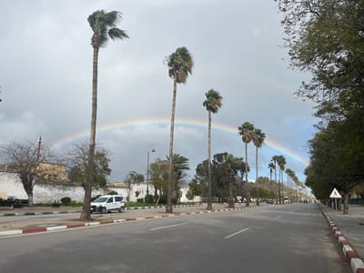 A rainbow arches across a sky with an overcast sky above a tree-lined street. Palm trees line the left side of the road, their leaves appearing to be blown by wind. A white van is parked near the curb. Trees are on the right of the street, and a pedestrian crossing sign is visible on the sidewalk. The road has painted lane markers.
