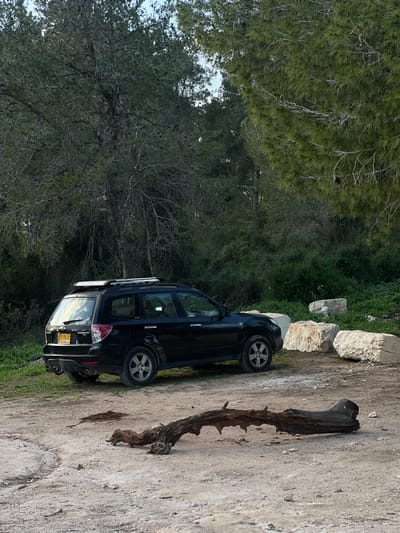 A black Subaru Forester station wagon, license plate 57-711-61 (Israel), is parked on a light brown dirt and gravel surface in a wooded environment, consistent with the Megido Regional Council area of Israel. The vehicle faces left, with its rear visible, featuring a silver roof rack and a tow hitch receiver. To the right of the parked vehicle, several large, light-colored, irregularly shaped rock boulders are positioned at the edge of dense green undergrowth. The background consists of a thick forest primarily of coniferous trees with dark green needles and visible pinecones, interspersed with some deciduous trees featuring bare branches. A long, dark, gnarled tree branch or log rests horizontally on the dirt path in the foreground. The upper portion of the scene reveals a light, overcast sky. No individuals are present, and no actions or interactions are depicted.