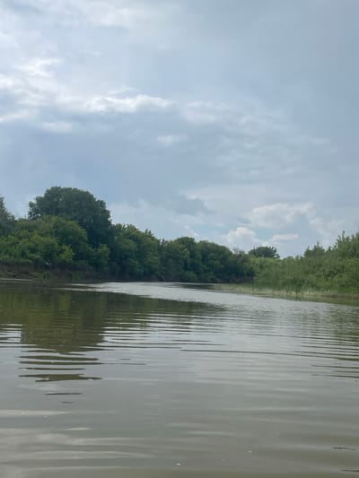 The image depicts a calm, wide river under a cloudy sky. Dense green trees and foliage line the banks of the river. The water is a murky green-brown and shows ripples from a gentle current. Reflections of the trees and sky are visible on the water's surface. The scene suggests a natural, unpopulated environment. This view is consistent with the appearance of the Samorodovo riverbank in Samorodovo, Russia, characterized by its lush vegetation and tranquil waters.