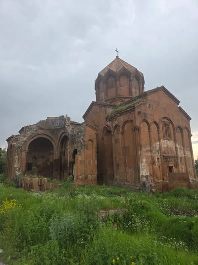 The image shows the semi-ruined medieval Armenian monastery of Talin, located in the village of Vahramaberd, Armenia. The structure is constructed from reddish-brown tuff stone and exhibits a central dome topped with a cross. The monastery appears overgrown with grass and vegetation, particularly around its base and on the roof. The left side of the building shows significant damage and crumbling walls, with arched openings visible. Graffiti is present on the upper part of the damaged section. The sky is overcast with a light gray hue. The foreground is filled with dense green grass and small wildflowers, including yellow and white varieties.