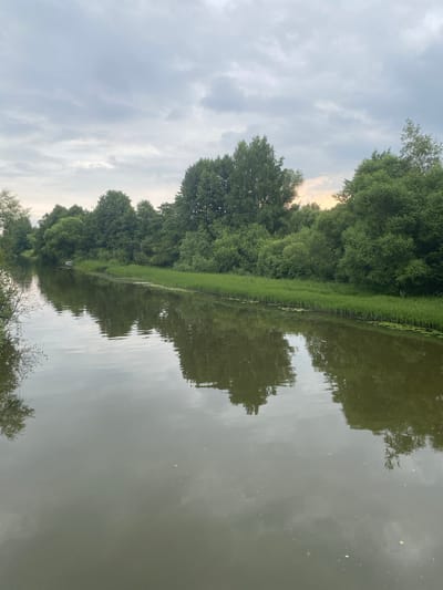 A calm, narrow waterway flows through a verdant landscape under a cloudy sky. The water reflects the lush green trees and vegetation lining its banks, creating a mirror image of the scene. The sky is overcast with shades of gray and white, with hints of pale orange light peeking through in the distance. The banks of the waterway are covered in thick green grass and dense trees, with some smaller plants growing at the water's edge. On the left bank, a small white boat is docked. The scene appears to be a serene natural setting, possibly a canal or river, located in Karabanovo, Russia.