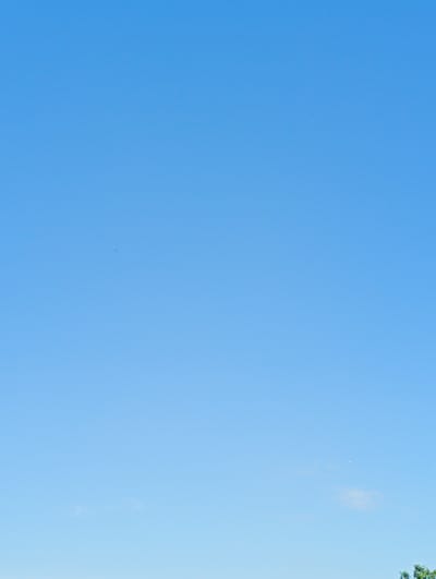 The image shows a clear blue sky above a blurry foreground of green trees. There are two small objects that appear to be aircraft or birds in the sky. The scene suggests an outdoor environment, likely a park or rural area, in Nowa Wieś Szlachecka, Poland.