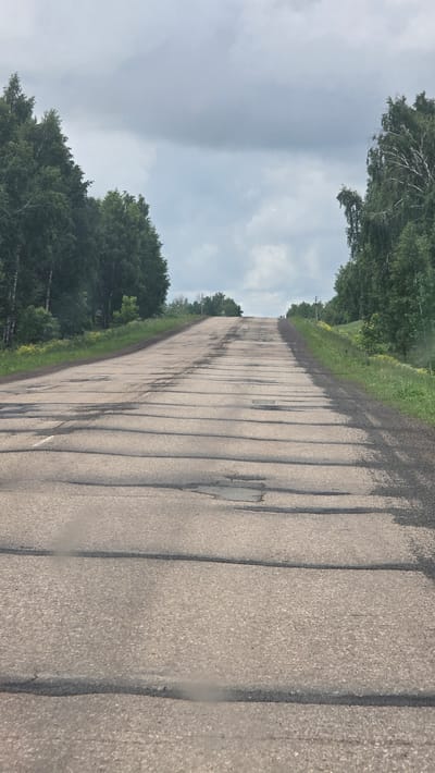 The image captures an asphalt road ascending uphill into the distance, located in Солояз, Russia. The road surface is significantly deteriorated, exhibiting numerous prominent transverse ripples, extensive longitudinal and alligator cracking, and multiple distinct potholes. Faint, weathered white road markings are visible on the left side of the asphalt in the foreground. Dense green deciduous trees, primarily birches, line both sides of the road, forming a continuous vegetative border. On the right, the trees are situated on a grassy embankment where some yellow wildflowers are visible. Two utility poles are faintly discernible on the right side in the mid-ground. The sky is uniformly overcast with a thick layer of grey clouds, indicating a diffused lighting condition. No individuals, vehicles, or animals are present in the scene.