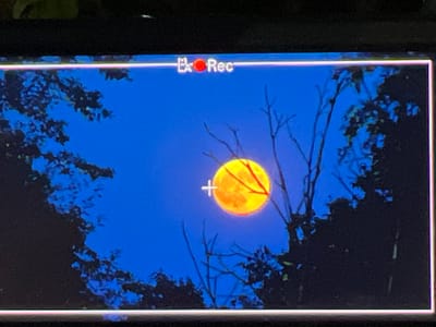 The image shows a digital display, likely from a camera or video recorder. In the center of the screen, a bright yellow moon with a red outline is visible against a deep blue night sky. A white crosshair is superimposed over the moon, indicating a focus or aiming point. Bare tree branches with dark foliage frame the moon from the foreground and sides, creating a silhouette effect. In the top center of the display, the text "EA Rec" is displayed in white, with a red circle next to "EA", suggesting a recording is in progress. The bottom of the screen shows a thin horizontal line of light. There are no people, specific city locations, or actions depicted in this scene.
