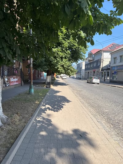 The image captures a street scene in Svaliava, Ukraine, under a clear blue sky. A sidewalk paved with light-colored rectangular stones runs along the left side of the frame, shaded by the dense green foliage of a large tree that dominates the upper left portion of the image. The tree's branches cast dappled shadows on the sidewalk. Adjacent to the sidewalk is a strip of dry, brown grass. On the left side of the sidewalk, a building with a banner displaying a woman's face and text in Cyrillic script is visible. Further down the sidewalk, a dark-colored metal trash receptacle is positioned next to another tree. The street itself is paved with dark, irregularly shaped cobblestones. Several cars are present on the street: a silver hatchback is driving away from the camera in the middle of the street, and a white sedan is visible further down the road. Buildings line the right side of the street, featuring red-tiled roofs and multi-story facades with windows. One building displays solar panels on its roof. A lamppost with a light fixture stands near the sidewalk. The overall scene depicts a typical urban environment during daylight.