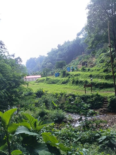 A lush, green landscape features a small, light-colored building with a red roof nestled in the distance. A stream flows through the foreground, surrounded by dense foliage. Up a grassy hill, blue water tanks are arranged in a row, hinting at a water source. A wooden sign and steps suggest a path. The scene evokes a sense of tranquility and natural beauty.