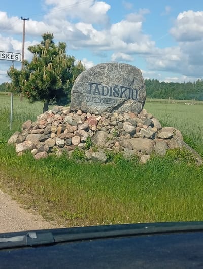 In Micaičiai, Lithuania, a large, rough-hewn boulder with "TADIŠKIŲ" inscribed in carved lettering is situated atop a mound of smaller rocks. To the left of the boulder, a young pine tree with prominent new growth stands near a utility pole. In the background, a lush green field stretches towards a line of trees under a partly cloudy sky. The scene appears to be captured from a vehicle, as a dark dashboard or car interior is visible in the foreground.