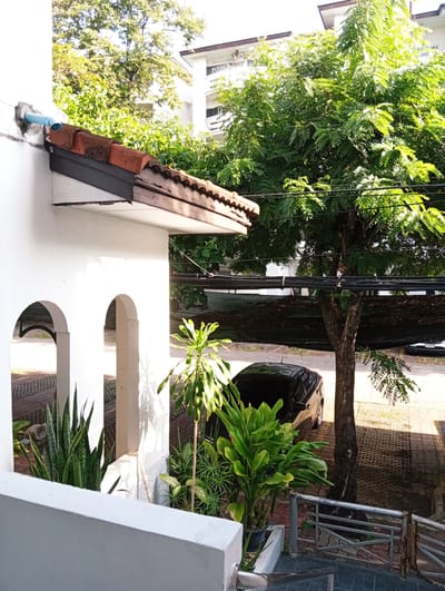 In Bang Kaeo Subdistrict, Thailand, a white building with a terracotta tiled roof overhang is visible in the foreground, with a blue pipe protruding from its white wall. Adjacent to the building, lush green trees with dense foliage are prominent, with power lines strung across them. Below the trees, a black car is parked on a paved surface. Several potted plants, including a snake plant and other leafy varieties, are situated near the building. In the background, a multi-story white building is partially obscured by the trees. The scene suggests an outdoor residential or commercial area with established greenery.