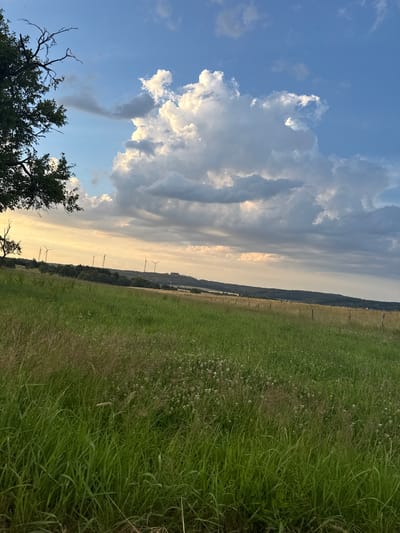 This is an outdoor, vertical, full shot image of a grassy field with a treeline and wind turbines in the background under a cloudy sky. The foreground is a dense field of green grass with some small white flowers interspersed. A large tree branch from the left of the frame extends into the upper left corner of the image. The middle ground features a gently rolling landscape with a treeline and a row of wind turbines visible on the horizon. The sky above is partly cloudy with large, dramatic white clouds catching the light, contrasting with darker gray clouds and patches of blue sky. The lighting suggests it is either early morning or late afternoon. The location is Beltershain, Germany.