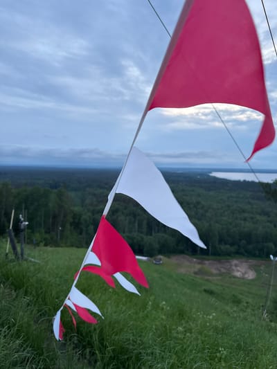 This image depicts a natural landscape in Korobitsyno, Russia, viewed from an elevated perspective. In the immediate foreground, a series of small, triangular pennant flags, primarily red and white, are strung along a thin, taut line. The flags exhibit signs of wear and tear, with several lower pennants appearing tattered and frayed at their edges.

Beyond the flags, a steep, grassy slope covered with verdant vegetation and scattered wild grasses extends downwards. To the left of the slope, two dark, slender wooden posts or stakes are partially visible. Further down and to the right on the slope, an area of disturbed earth with exposed brown soil suggests recent ground work or erosion.

The midground is dominated by a dense, expansive forest of dark green trees that stretches across the horizon. In the far background, beyond the tree line, a large, calm body of water, likely a lake or wide river, is visible under an overcast sky. The sky itself is filled with soft, grey clouds, indicating an overcast condition or twilight. The overall lighting is dim and diffused. No individuals or animals are discernibly present in the frame.