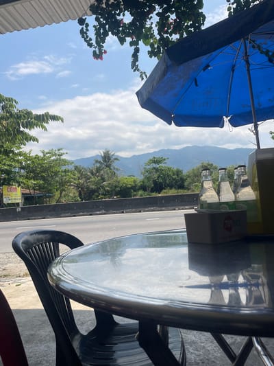 Here is a concise description of the image:

The image shows an outdoor scene, likely at a roadside cafe in Ninh Hoa, Vietnam. A blue umbrella with advertising text (coffee) and a phone number partially obscures the view of a mountain range in the background. A table and chairs are present, with drink containers placed on the table. Vegetation (trees, bushes) is visible on both sides of a road. A sign displays "COM" and the address "123 Nguyên," potentially indicating a nearby establishment.