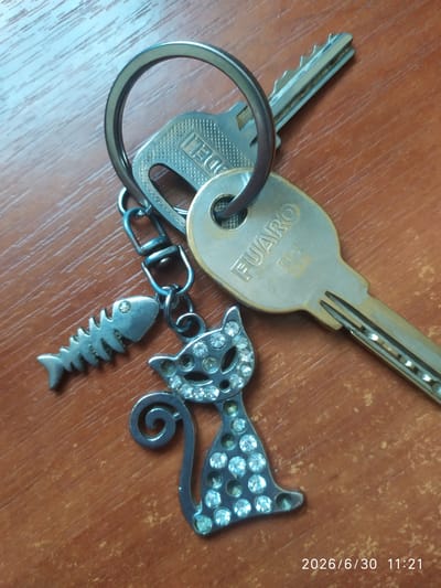 The image shows a close-up of a set of keys on a wooden surface. The keys are attached to a silver keychain ring. Dangling from the keychain are two charms: a silver fish skeleton and a silver cat silhouette embellished with rhinestones. One of the keys has the word "FUARO" inscribed on it. The wooden surface has a visible grain pattern. A timestamp in the bottom right corner reads "2026/6/30 11:21". The location of Skala-Podilska, Ukraine is not evident from the visual information in the image.