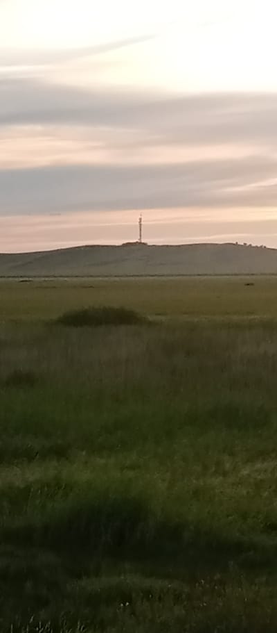 The image depicts a desolate landscape with a tall, slender radio tower silhouetted against a pale, cloudy sky. The tower stands on top of a gently sloping, grassy hill. In the foreground, a vast expanse of green grass stretches across the scene, with a small, darker patch of vegetation in the mid-ground. The overall impression is one of remoteness and quietude, with no signs of human activity other than the man-made tower. The lighting suggests either early morning or late evening, with soft, diffused light characteristic of twilight. The location is identified as Marinovka, Kazakhstan.