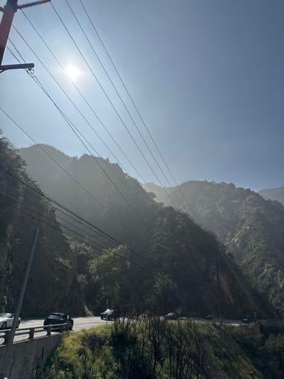 The image depicts a winding road traversing the Unincorporated Santa Monica Mountains, United States of America, under a hazy sky with a prominent, glaring sun positioned in the upper left. The landscape consists of steep, green, densely vegetated mountain slopes, partially obscured by atmospheric haze. Overhead utility lines extend diagonally from a large utility pole on the far left across the upper frame. In the foreground, burnt vegetation characterized by blackened branches is visible, interspersed with new green growth. A two-lane paved road, bordered by a stone barrier on its left side, features several vehicles: a white car is partially visible on the barrier, followed by a dark pickup truck or SUV with a rear-mounted spare tire, and multiple other dark sedans and SUVs are present further along the road's curve. A second utility pole is positioned roadside in the mid-ground on the right. No individuals are discernible within the scene.