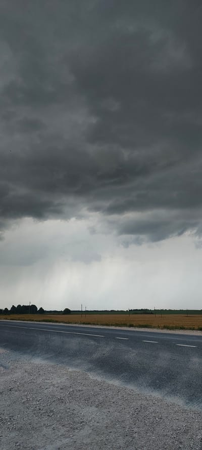 The image depicts an overcast rural landscape with a stormy sky. In the foreground, a wet asphalt road with white lane markings curves to the left, bordered by a gravel shoulder. Beyond the road, a field of dry, yellowish vegetation stretches to the horizon, punctuated by utility poles and a line of trees. A rain shower is visible in the distance, indicated by vertical streaks of precipitation against a bright, hazy sky. The overall atmosphere is somber, suggesting approaching or ongoing bad weather. The location is specified as the city of Новый Изборск, Russia.