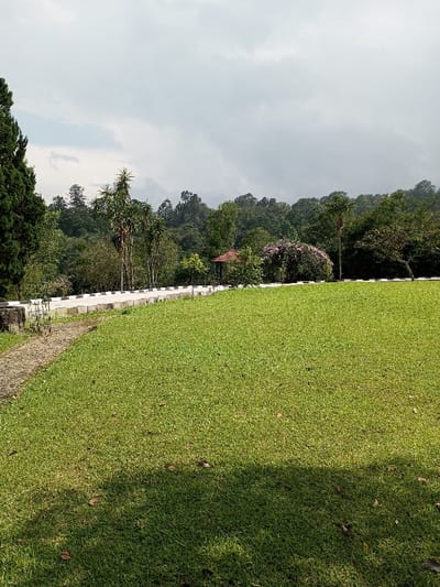 Lush green lawn dominates the foreground, subtly shaded. A low white wall marks the lawn's edge, beyond which lies a path of stone. Further back, a small gazebo stands amidst blooming pink bougainvillea and various trees. A dense forest covers the distant hills, partially obscured by a cloudy sky. The overall scene evokes a sense of tranquility and well-maintained nature.