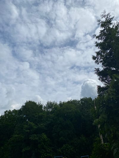 The image depicts a natural scene with a dense forest in the foreground and a cloudy sky in the background. The trees are dark green and lush, forming a solid line across the lower portion of the frame. Several birds are visible as small dark specks in the sky, indicating their presence. The sky itself is filled with a variety of clouds, ranging from wispy cirrus formations to larger, more voluminous cumulus clouds. One particularly large, puffy cloud is prominently featured in the upper right quadrant of the sky. The overall impression is one of an outdoor, natural environment, possibly a park or wooded area.