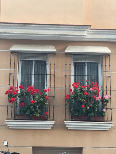 The image shows a close-up of two windows on the exterior of a building. The windows are covered by decorative metal grilles. Each window has a planter box overflowing with bright red geraniums and some lighter pink flowers. The building exterior is a tan color with some decorative architectural elements visible on the left side of the image. The windows themselves appear to be modern with horizontal blinds visible inside. The scene suggests a residential building, possibly in a European city given the style of the window grilles and flower boxes, consistent with the provided location context of La Línea De La Concepción, Spain. There is no discernible text in the image. The lighting suggests it is daytime.