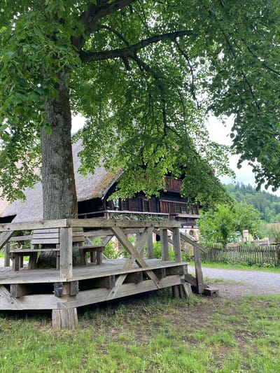 The image depicts an outdoor scene in Gutach (Schwarzwaldbahn), Germany. In the foreground, a rustic wooden bridge-like structure with crossbeams and planking is positioned on green grass. A large tree with green leaves dominates the left side of the frame, its trunk extending vertically and partially obscuring the background. Behind the bridge and tree, a traditional wooden building with dark wooden walls and a thatched roof is visible. A gravel path runs along the right side of the frame, bordered by a wooden fence and vegetation. In the distance, more greenery and possibly other buildings are discernible.
