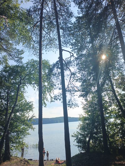 This is a medium shot, eye-level, outdoor, natural light photograph taken from a low angle looking up at tall trees framing a body of water. The image is dominated by the lush green foliage of deciduous and coniferous trees, with sunlight filtering through the branches and creating lens flare. In the foreground, to the left, is a grassy and rocky shoreline. Further into the scene, the tranquil, calm blue water of a lake stretches towards a distant, tree-covered horizon. Several people are visible near the water's edge: one individual stands in the water on the left, while a child stands on the shore in the center, facing away from the camera. Another person is lying down on a towel on the grass in the right foreground, facing left. The overall impression is one of a peaceful, natural setting, likely a lakeside recreation area. The location is identified as Nepryakhinskoye Sel'skoye Poseleniye, Russia.