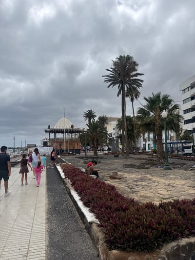 The image depicts a scene on a cloudy day in Arrecife, Spain. A paved walkway stretches along the coast, lined with a low stone wall topped with vibrant purple and green foliage. Several people are strolling along the walkway, including a group of three wearing casual clothing, one in pink pajamas, another in a brown dress, and the third person in white. Further along, a man is sitting on the wall.

Palm trees dot the landscape behind the walkway, interspersed with buildings. In the middle distance, a gazebo-like structure with a white dome stands on the promenade. The sky is overcast with grey clouds.