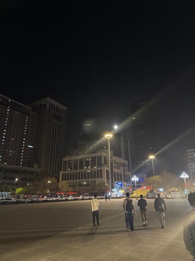 This image captures an urban street scene at night, likely in Shenhe District, China. The perspective is from a slightly elevated position, looking down a wide, paved pedestrian area on the right, adjacent to a street lined with buildings and vehicles on the left.

Several people are visible walking along the paved section. In the mid-ground, three individuals are walking away from the viewer, appearing as silhouettes against the brighter street. One person closer to the foreground, on the far right, is also walking away. A fifth person is partially visible near the bottom edge.

The scene is dominated by artificial light sources. Bright streetlights with noticeable lens flares illuminate the road and pedestrian path, casting long shadows. Numerous high-rise buildings frame the street, many with illuminated windows, suggesting active occupancy. Some buildings display faint Chinese characters on their facades, though most are too distant or indistinct to read clearly. One tall, dark building in the middle distance has vertical Chinese text on its side, and another building further back features a curved green neon sign. Along the street, rows of cars are parked, and various advertising signs with Chinese text are visible, including some red banners. The sky above is completely dark, confirming the nighttime setting. There are sparse trees and shrubs along the street, minimally lit.