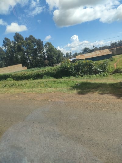 The image presents a view in Kibirichia ward, Kenya, likely taken from a vehicle on a road. The foreground consists of an asphalt road with visible wear and tear. To the side of the road, there is a grassy verge transitioning into a raised bank of vegetation, including trees, shrubs with yellow flowers, and other greenery. In the mid-ground, there are several buildings with corrugated iron roofs. In the background, more trees and buildings can be seen under a blue sky with white clouds. There are no people visible in the image. Power lines are also visible. The photograph shows a rural or semi-rural landscape in Kibirichia ward.
