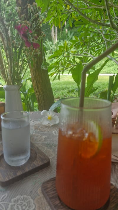 A close-up shot of two drinks on a table with a natural background. In the foreground, a tall glass filled with iced tea and a slice of lime is on the right. To the left of it, a shorter glass with a clear liquid, likely water, sits on a wooden coaster. A white flower with a yellow center rests on the patterned tablecloth between the glasses. Behind the drinks, a white vase holding a bouquet of dried flowers and a pink blossom is visible, next to a tree trunk. The background features lush green foliage and trees, suggesting an outdoor setting in Ban Huai Takhrai, Thailand. The lighting is natural, and the focus is on the drinks and the immediate table setting.