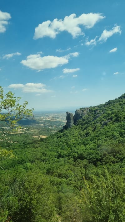 The image depicts a scenic view of the Meteora region near Kalambaka, Greece. The foreground is dominated by a lush, green, densely forested hillside. A tree branch with green leaves extends into the upper left corner of the frame. In the mid-ground, dramatic rock formations rise vertically from the hillside, some appearing as tall, slender spires. These rock formations are covered in patches of vegetation and are characteristic of the Meteora landscape. Beyond the rocks, the scene opens up to a vast, flat valley. The valley floor is a patchwork of agricultural fields, with subtle variations in color indicating different crops or land use. Hazy, distant mountains can be seen on the horizon. The sky is a vibrant blue, dotted with fluffy white cumulus clouds. The overall impression is one of natural beauty and geological wonder. There are no people or man-made structures immediately apparent in the main subject area, focusing the viewer's attention on the natural environment and geological formations. The lighting suggests a bright, sunny day.