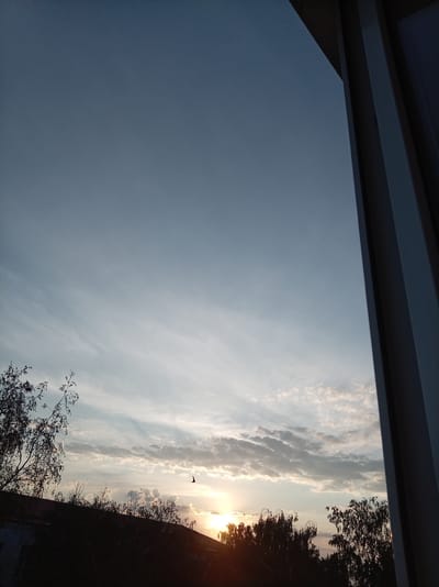The image depicts a sunset view from a window in Alatyr, Russia. The sky is a gradient of pale blue to light gray, with wispy clouds stretched across the horizon. The sun, a bright orange disc, is low in the sky, casting a warm glow. Silhouetted trees and the roof of a building are visible in the foreground, their dark shapes contrasting with the illuminated sky. A single bird is captured in flight against the sunset. The right side of the frame is occupied by a portion of the window frame, which is dark and indistinct. The overall impression is one of a tranquil evening in a semi-urban or rural setting.