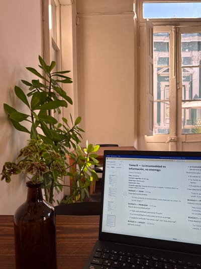 A laptop screen displaying a Word document titled "Tema 8 - La incomodidad es información, no enemigo" (Theme 8 - Discomfort is Information, Not the Enemy) is in focus. The document contains bullet points and phrases in Spanish. The laptop keyboard is partially visible. To the left, a vase with green leaves and flowers sits in front of a window. The window reveals a view of buildings and the sky. The image appears to be taken indoors on a surface or desk. There are no people visible. It is not possible to determine the location in Salta, Argentina from the given image.